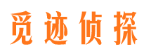 西湖市私家侦探